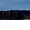 Kasutaja avatar