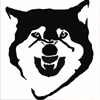 Kasutaja avatar