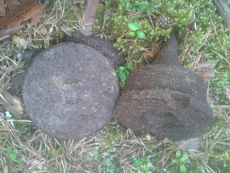 20150426_123900.jpg