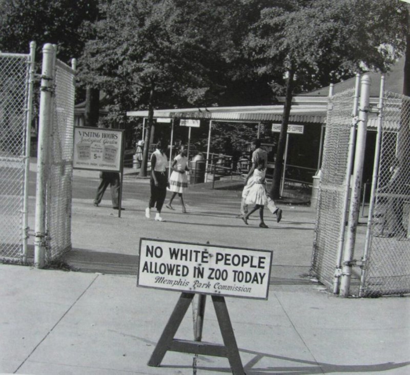 zoovolinikule.jpg