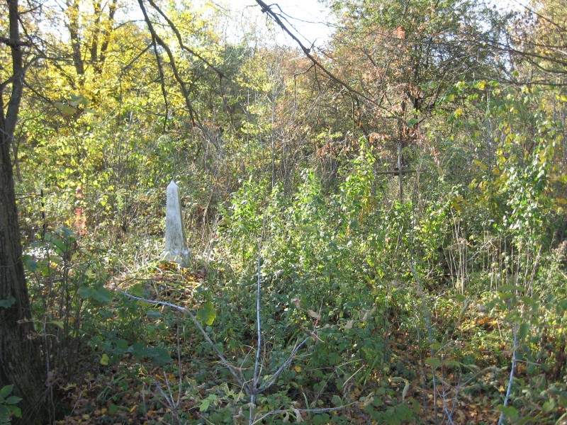 IMG_1521.JPG