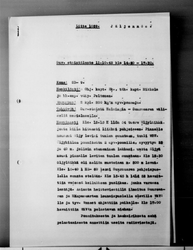 Lentolaivue_6_93.jpg