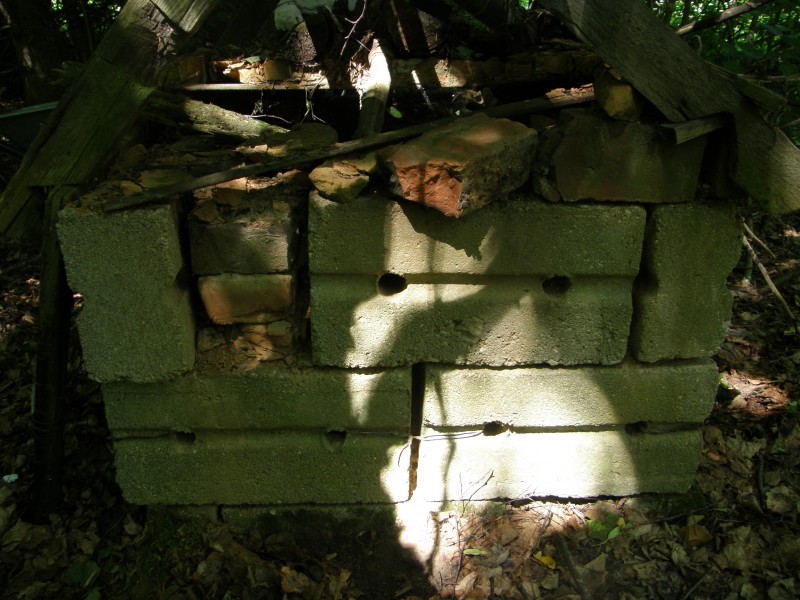 P6272672.JPG