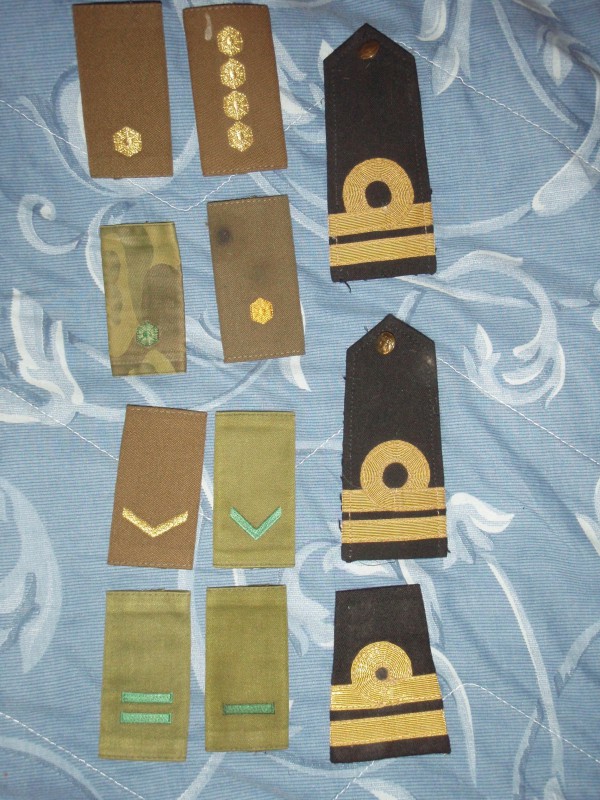 EKV pagunid.JPG