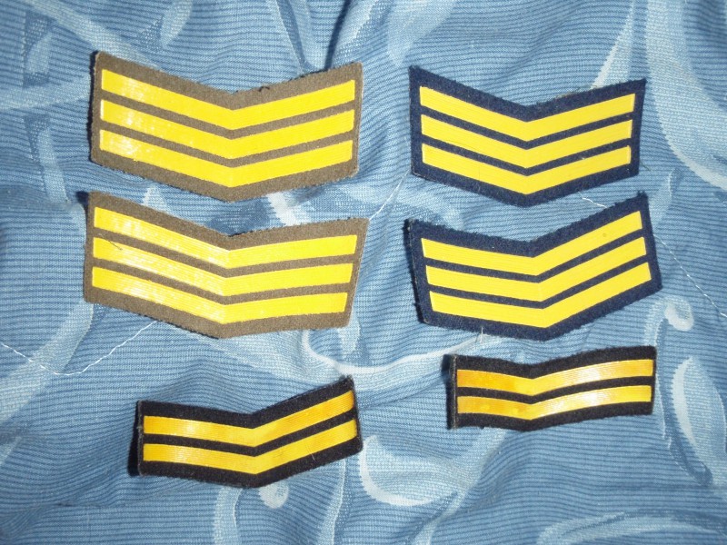 Venemaa pagunid.JPG