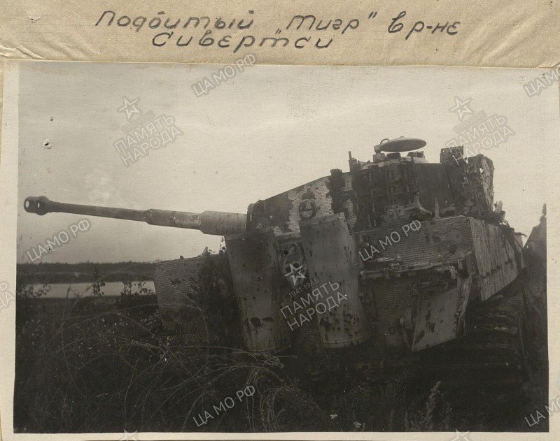 Tiiger Siivertsi.jpg