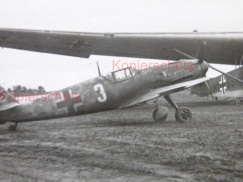 saar3.JPG