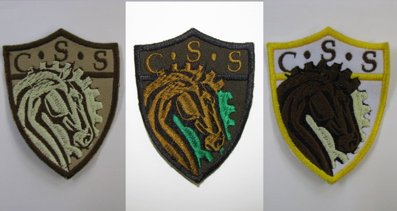 CSS_trio.jpg