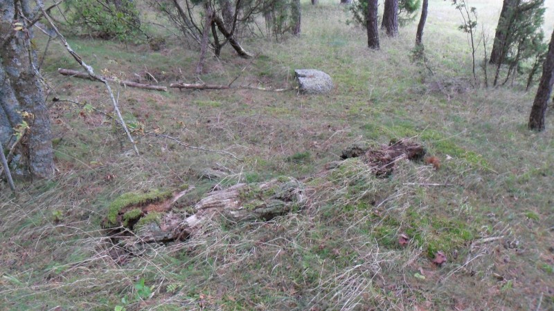 kõik mis on veel alles veskist mis on pildilolevast tuuleveskist (sõduri ja tanki vahel)