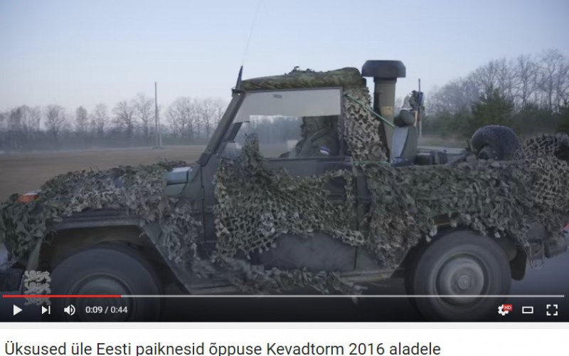 Kevadtorm - Copy (2).jpg