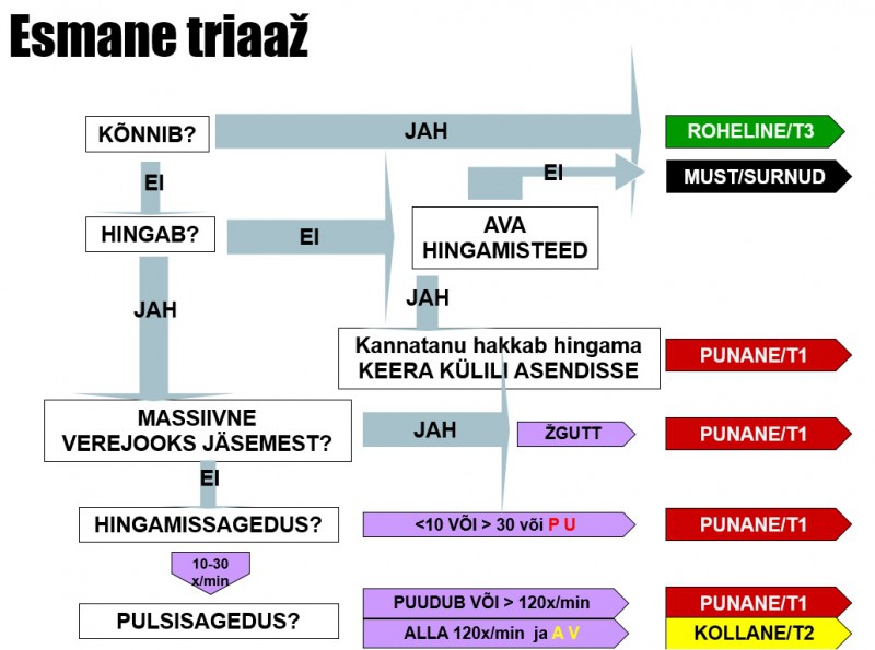 triaaž.jpg