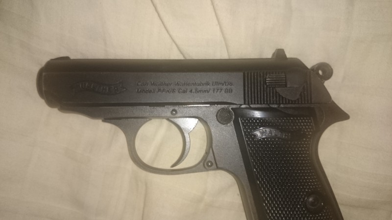 tmp_8131-DSC_2750205848717.JPG