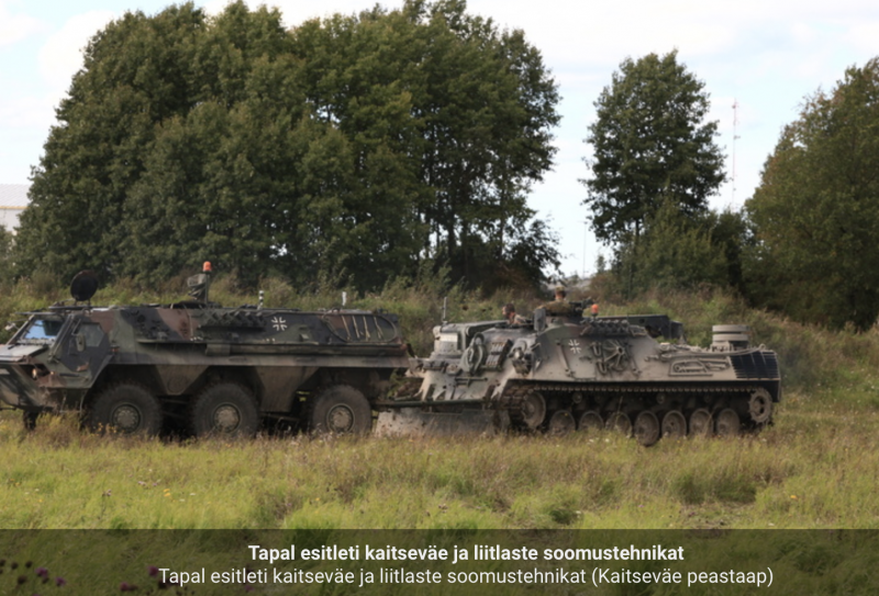 Fuchs Tapal