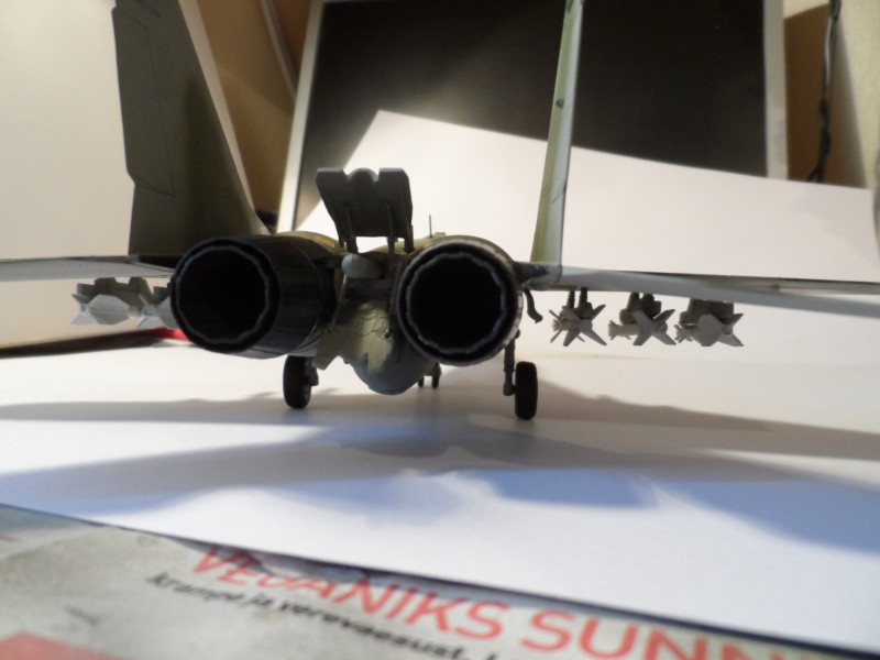 MiG29UB (3).JPG