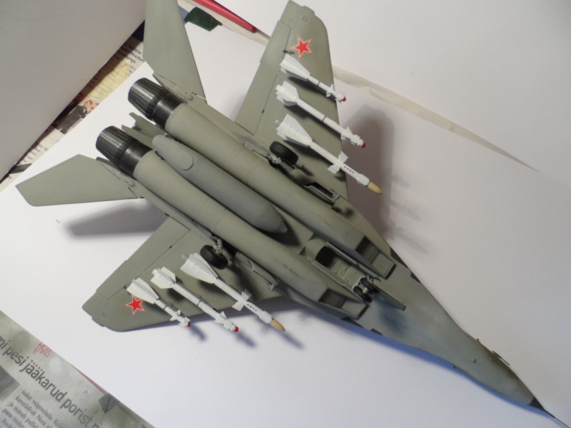 MiG29UB (5).JPG