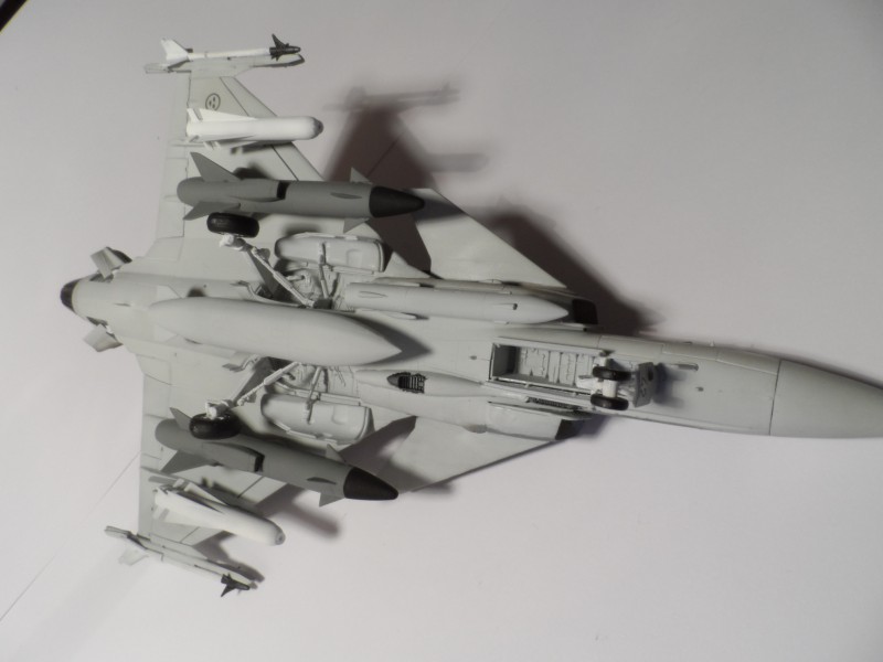 Gripen (5).JPG