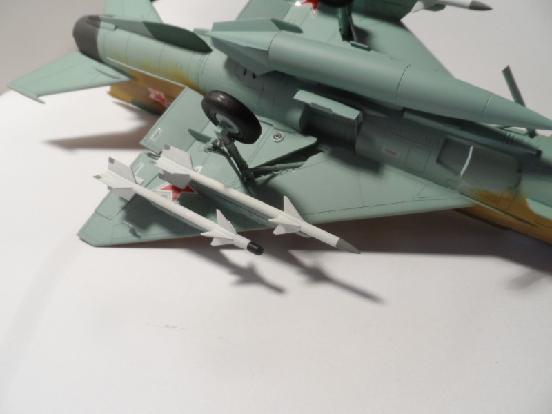 MiG-21MF (8).JPG