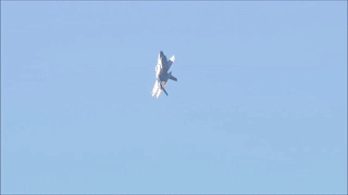 backflip%2Bpedal turn.gif