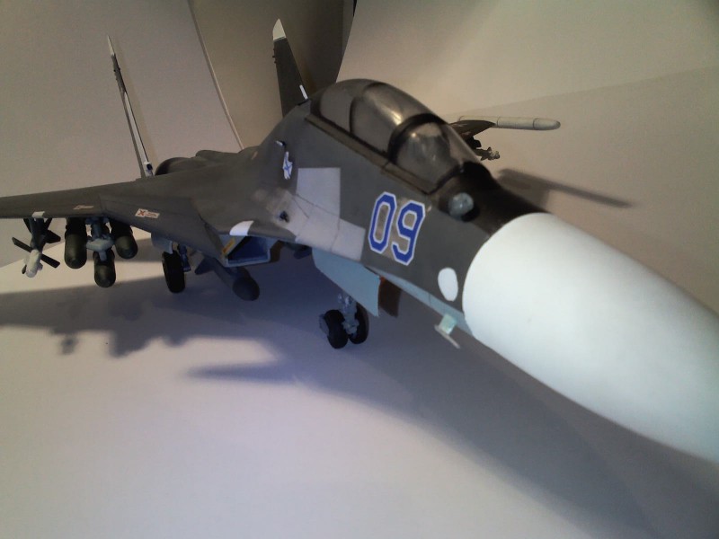 Su-30SM (4).jpg