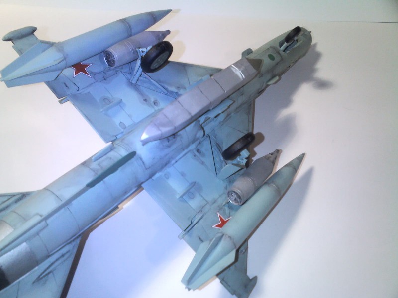 MiG-21R (6).jpg