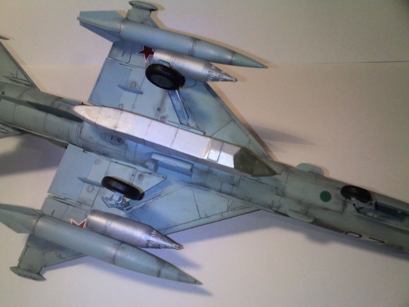 MiG-21R (4).jpg