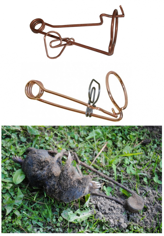 Toode.png