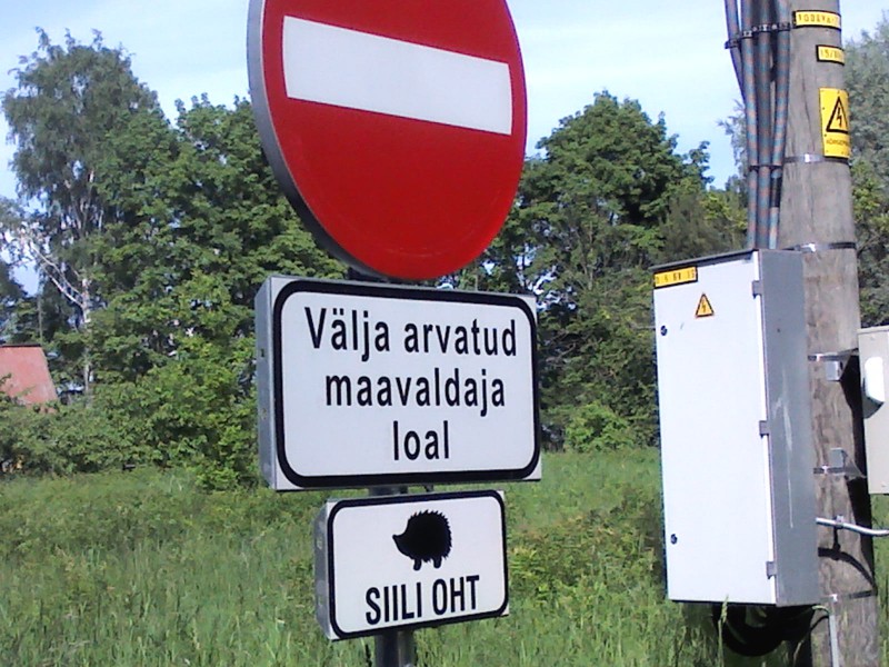 IMG00577.jpg