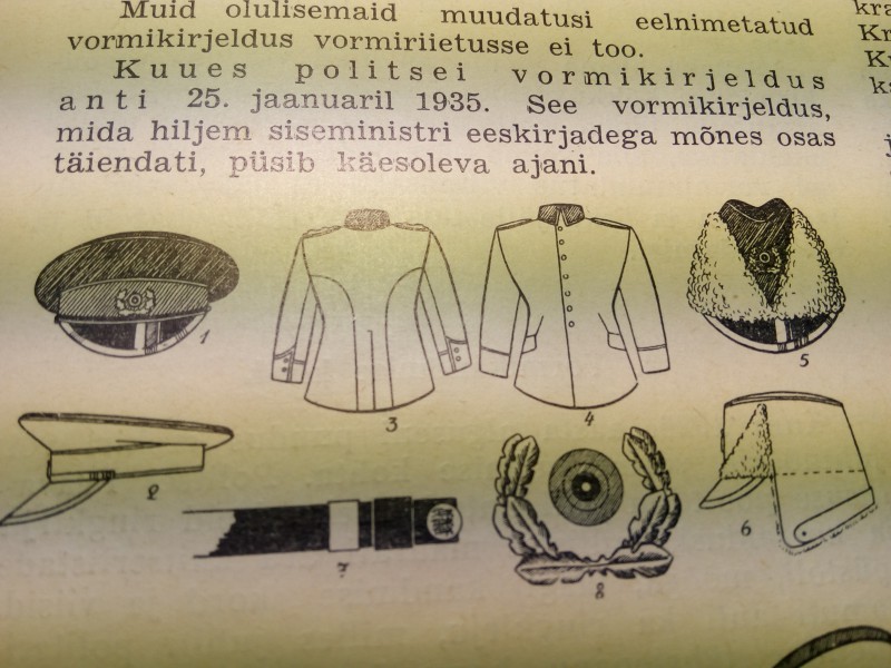 polla.jpg