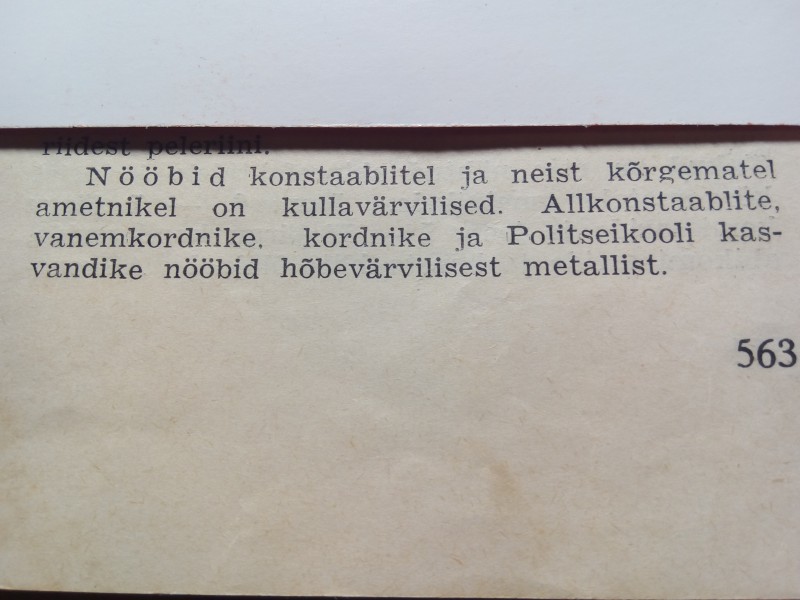 polla 3.jpg