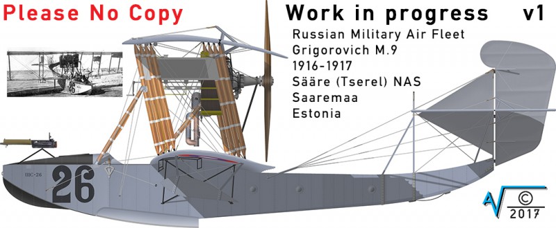 Grigorovich M9 Saaremaa 1917 Nr 26 v1 MilNet (1050px).jpg