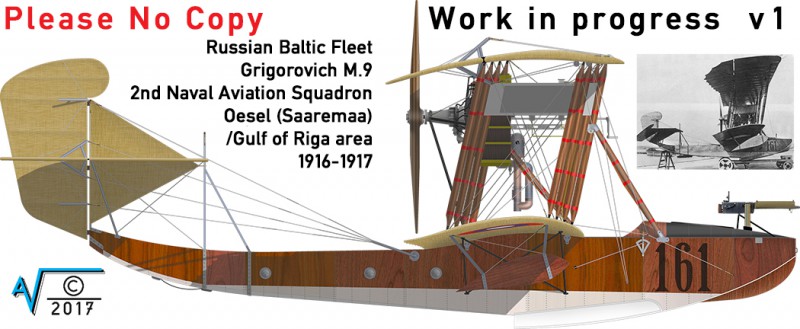 Grigorovich M9 2nd Baltic NASq 1917 Nr 161 v MilNet (1050px).jpg