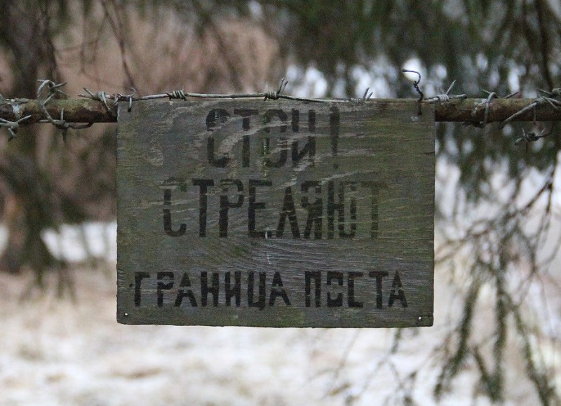 IMAG25687955.jpg