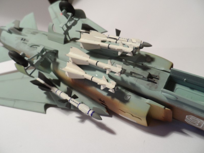 MiG-23MLD (14).JPG