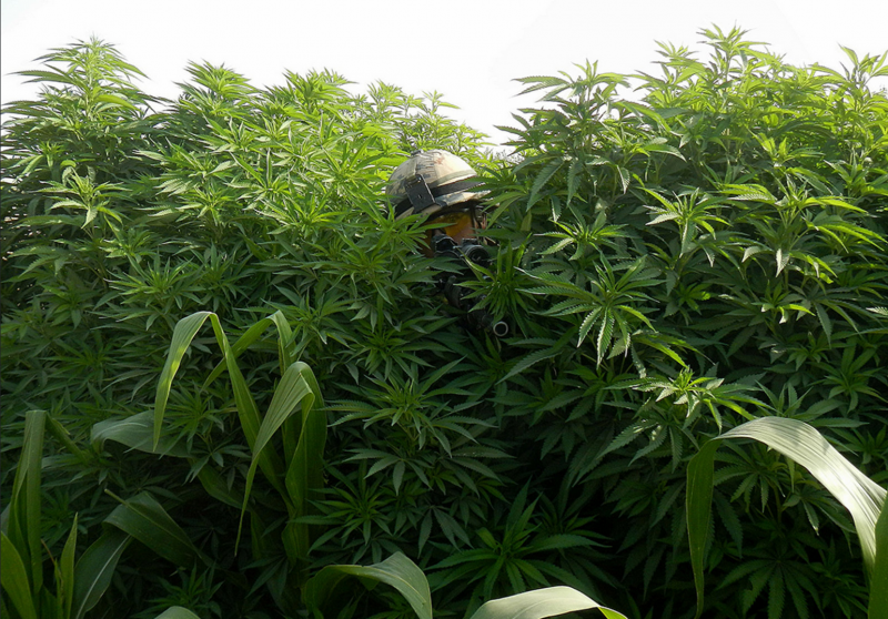 ESTCOY-14 patrolling in Afghanistan, Helmand Province, ca. 2013 - 2014.png