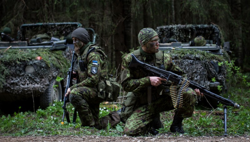 Scouts from Estonian 1st Infantry Brigade, Exercise Siil.jpg