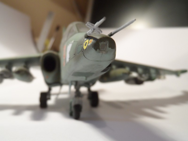 Su-25UB (9).JPG