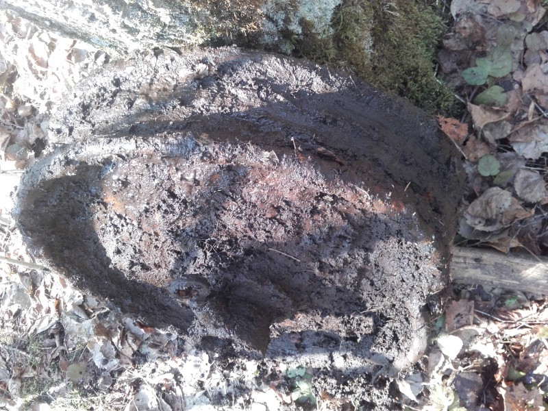 20180415_133411.jpg