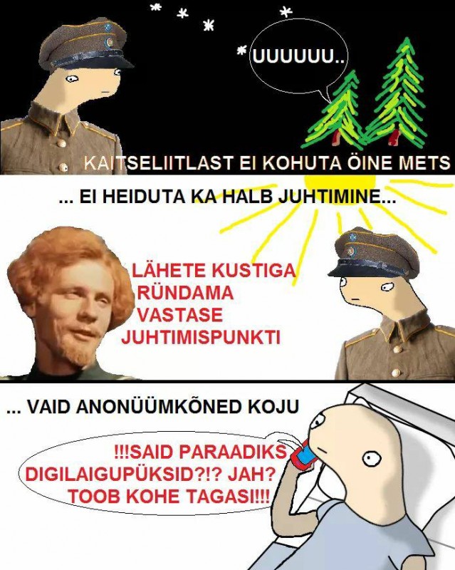 ladu.jpg