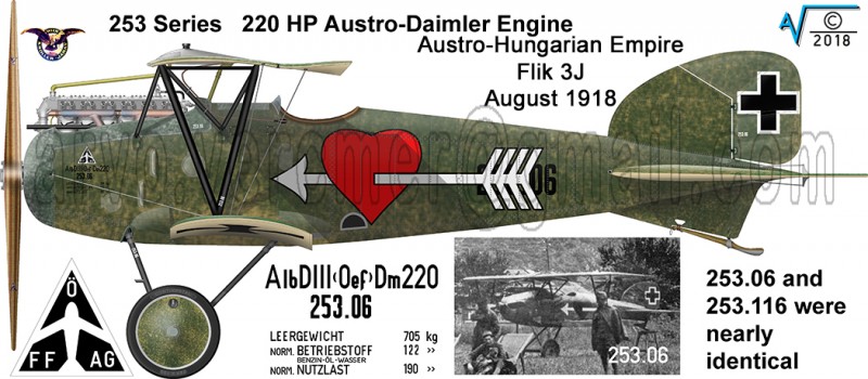 Alb DIII OEFFAG 253 06 FLIK 3J v1 MilNet (1050px).jpg