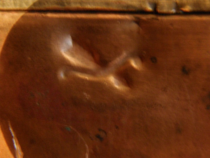P8210031.JPG