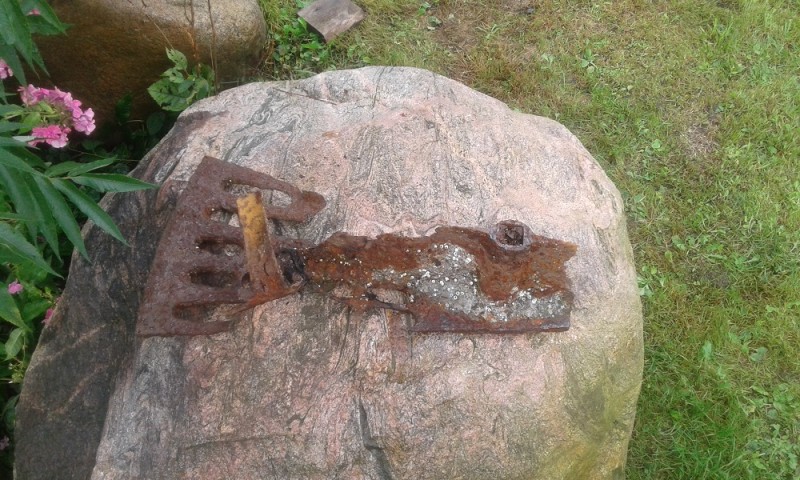 20180901_094437.jpg