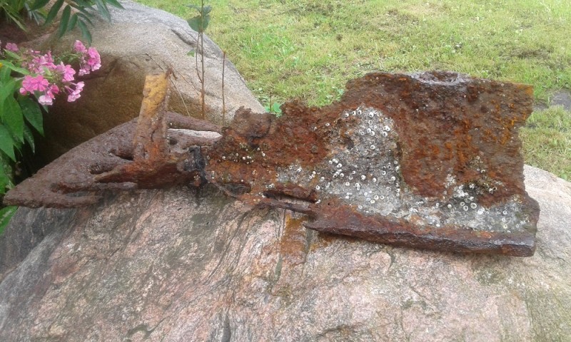 20180901_094504.jpg