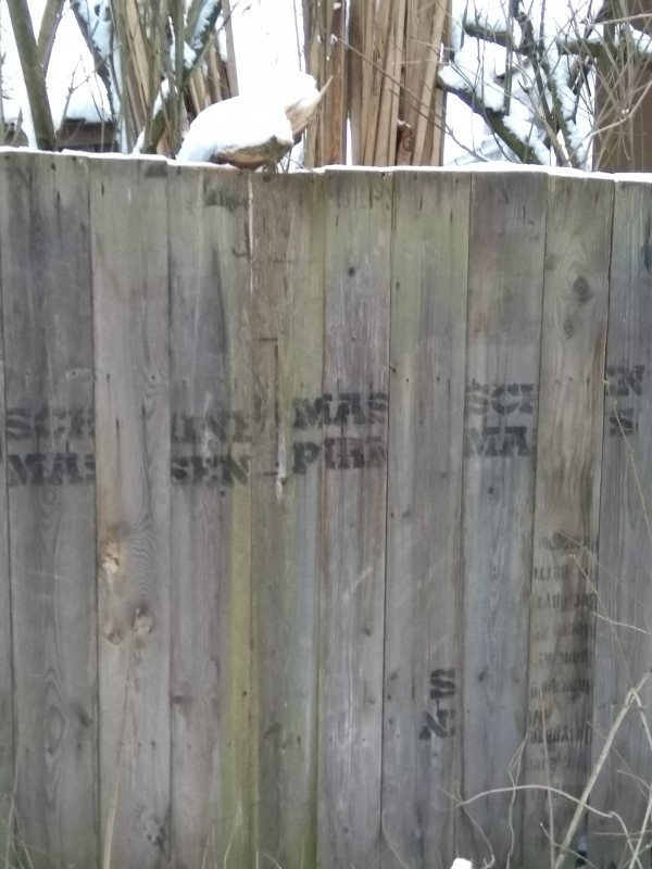 2018-12-21 10.03.48.jpg