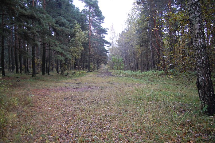 006.jpg