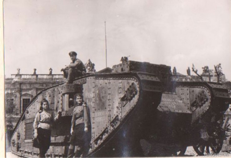 1255785_900.jpg