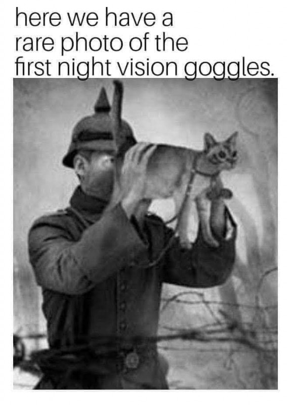 FB_IMG_1554650714629.jpg