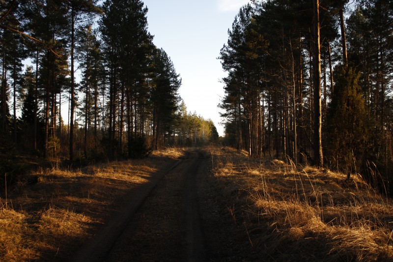 _MG_8586.JPG