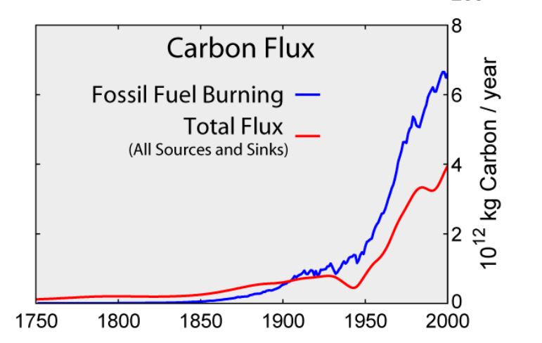 CO2.JPG