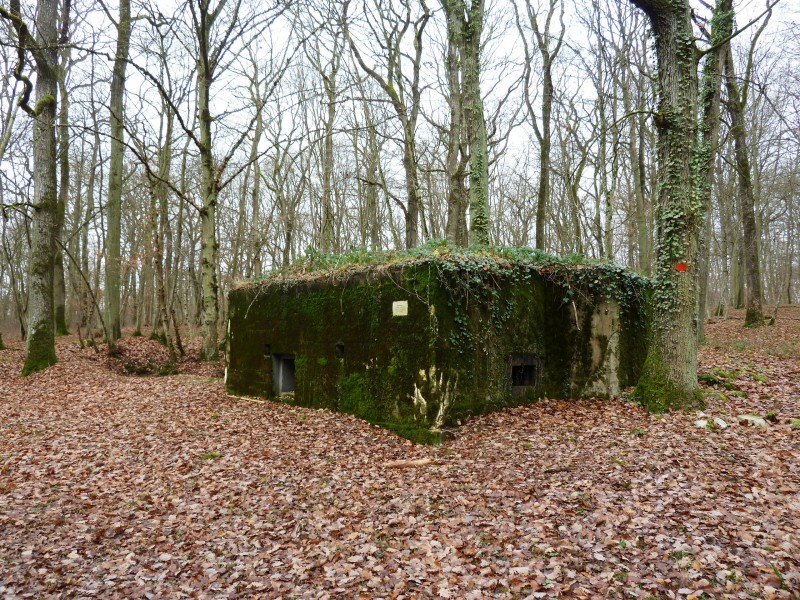 Tulepunkt Cattenomi metsas asuvas Maginot liinide kompleksis.