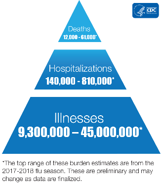 Screenshot_2020-05-08 Burden of Influenza.png
